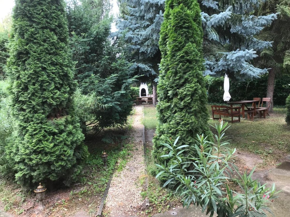 Bed and Breakfast Platanus Vendeghaz Zamárdi Exterior foto